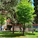 Carola