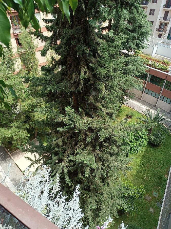 Carola Appartement *